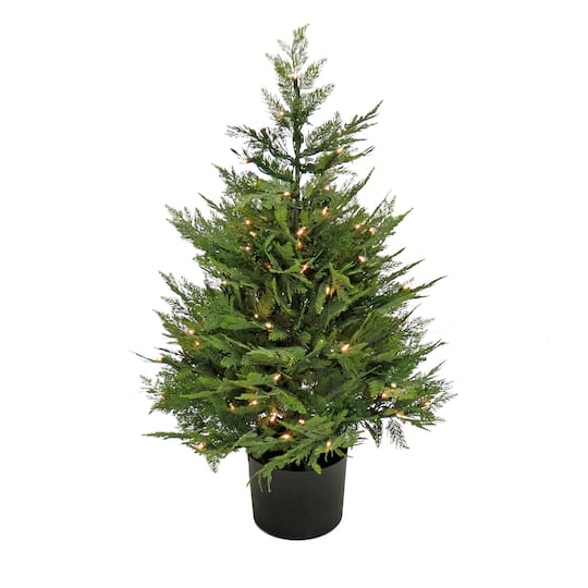 3ft. Pre-Lit Cypress Tree In Nursery Pot